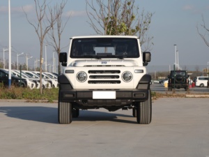 2025 coche nuevo <span class=keywords><strong>212</strong></span> T01 2024 modelo 2,0 T mecánico gasolina compacto 5 puertas vehículo SUV de 5 plazas - Product Image 2