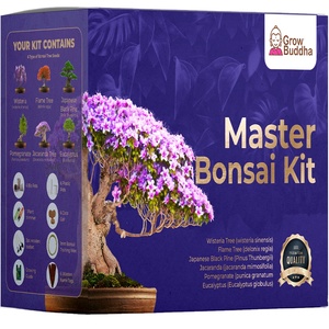Innovant Levitate Air Master Bonsai <span class=keywords><strong>Pot</strong></span> Meilleurs produits <span class=keywords><strong>de</strong></span> jardinage pour la maison Rotation Caractéristique Pépinière Convient <span class=keywords><strong>Pot</strong></span> <span class=keywords><strong>de</strong></span> <span class=keywords><strong>fleur</strong></span> Grow Label - Product Image 4