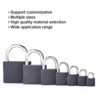 Cadenas en fer gris étanche 30mm/40mm/50mm/60mm Cylindre de serrure de porte en laiton Durable et élégant