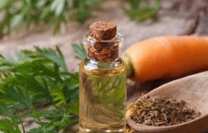 डॉकस कैरोटा गाजर बीज तेल थोक मूल्य प्राकृतिक विटामिन सी त्वचा मॉइस्चराइजिंग और सफेद आवश्यक तेल - Product Image 5