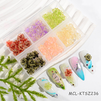 Fleur 3D Nail Art Résine Fleur Nail Art Charms Box Kawai Nail Art Flower for Spring New Designs Charms