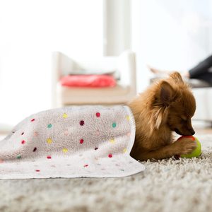 OEM/ODM Vente en gros de protège-tapis jetables pour animaux de compagnie, taille personnalisée, écologiques, biodégradables, pour l'entraînement des chiens, destinés à l'exportation - Product Image 4