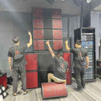 Pro-212 Equipo de Sonido Profesional para DJ, 1200 Vatios RMS, Sistema Line Array de 12'' con Subwoofer Doble de 21 Pulgadas