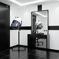 Sèche-cheveux professionnel de salon haut de gamme, à capot, sur pied, pour salon de coiffure et institut de beauté, vente en gros d'usine