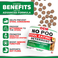 Supplément probiotique personnalisable pour animaux de compagnie sans caca à mâcher pour empêcher le chien de manger du caca Suppléments de champignons de soins de santé