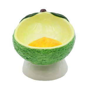 Bol pour animaux de compagnie en céramique artisanale en gros, bol surélevé incliné, design pour une alimentation saine, OEM ODM, distributeur de nourriture personnalisé pour chien et chat - Product Image 5