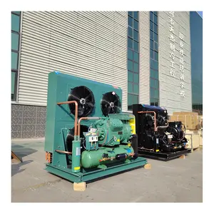 Walk In Freezer Compressor Condensing Unit For Refrigeration System