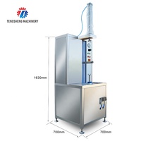Roestvrijstalen Voedselmachine Automatische Mango Watermeloen Schilmachine Pompoen Witte Kalebas Dunschiller (TS-P30)