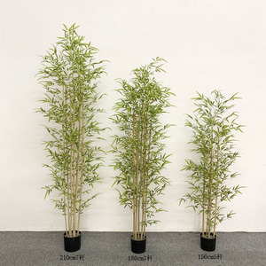 Albero di bambù <span class=keywords><strong>in</strong></span> vaso nero per la decorazione di Home Office, - Product Image 2