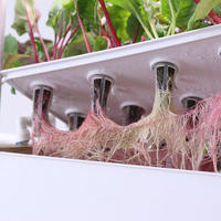 Système de culture aquaponique A-ONE RR-ZPS231, PVC haute rigidité, lampe de culture à spectre complet, pompe, minuterie automatique, kit de germination des plantes