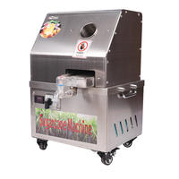 Machine à sucre de canne grande capacité 750W R |   Machine à canne à sucre commerciale
