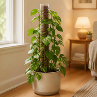 Support de fixation en plastique pour plantes, pour poteaux de mousse, bambou, lierre vert et diverses plantes grimpantes