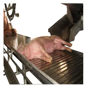 Factory supply pig meat hanging rails pork beef hooks /slaughtering equipment