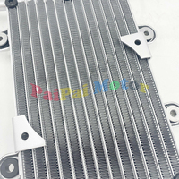 Bashan 200CC 250CC ATV Quad radiateur pour Bashan 200-250CC ATV