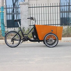 Sepeda kargo anjing roda tiga recumbent sepeda motor bekas kargo anjing elektrik