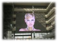 Écrans d'affichage LED transparents MPLED P15 DIP pour extérieur, étanches, haute luminosité, panneau LED publicitaire coloré