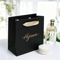 Sacs en papier de luxe en gros pour cadeaux, emballages personnalisés pour bijoux et cosmétiques, sacs en papier avec rubans et poignées