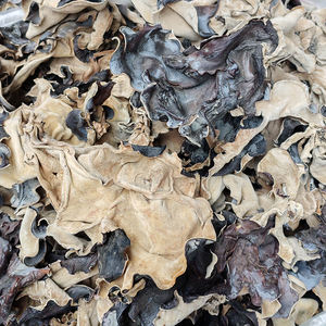 Китайский высококачественный сухой черный грибок древесный ушной гриб для продажи черный гриб большого размера - Product Image 6