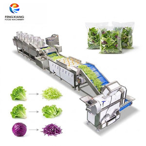 Solution de traitement des légumes fraîchement coupés pour usine alimentaire 1-3T – Machine personnalisée de tri, lavage, découpe, séchage et emballage des légumes - Product Image 2
