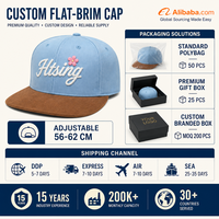 Casquette de baseball personnalisée bleu ciel à visière plate, 6 panneaux, snapback, visière en daim brodée de fleurs, chapeau ajustable, vente en gros, OEM, faible MOQ