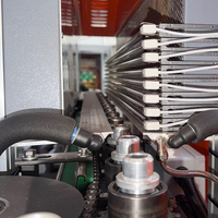Machine de soufflage par étirage PET 9 cavités 0,7L 13000BPH à entraînement servo pour la production de bouteilles d'eau minérale certifiée CE
