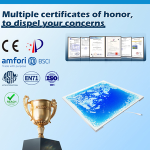 Giáo dục khác đồ chơi thích hợp cho cảm giác phòng Tự Kỷ cảm giác đồ chơi 3D cảm ứng cung cấp điện LED Dance Mat Gel gạch lát sàn cảm giác - Product Image 6