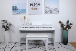 Piano Eléctrico OEM Económico, Martillo de Botones Profesional, Tipo Clamshell Progresivo - Product Image 3