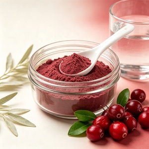 Poudre de jus de canneberge de qualité alimentaire 99% Poudre de canneberge lyophilisée - Product Image 1