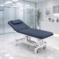 Table de massage électrique à 2 sections, lit de traitement avec dossier réglable, revêtement en PVC, structure métallique pour spa, clinique, hôpital