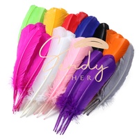 Accessoire de Carnaval Plumes de Dindon 25-30-35cm pour Costume de Danse du Carnaval du Brésil, Coiffe et Sac à Dos