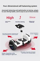 Trottinette Électrique Tout-Terrain à Double Moteur Haute Vitesse 54V, Hoverboard 10 Pouces avec Contrôle par Application et Éclairage LED