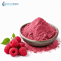 Poudre d'extrait de framboise naturelle de qualité alimentaire en gros pour la matière première des aliments et boissons fonctionnels