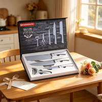 Ensemble de couteaux de cuisine modernes en acier inoxydable Couteau de chef utilitaire multifonctionnel avec manche en plastique PP Double face rectifiée