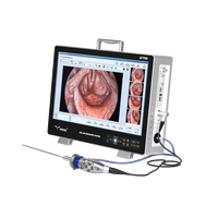 Système de caméra endoscopique médicale portable IKEDA Ent Camera Electric 22 pouces Full HD avec interface USB certifié CE