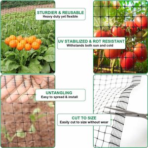 Ép đùn knotless chống <span class=keywords><strong>Bird</strong></span> lưới trọng lượng nhẹ Crop bảo vệ chống <span class=keywords><strong>Bird</strong></span> Net chống mole Bopp lưới - Product Image 6