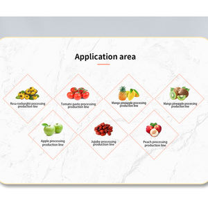 AICNPACK ananas nar portakal suyu konsantresi üretim hattı sıkacağı yapma makinesi - Product Image 6