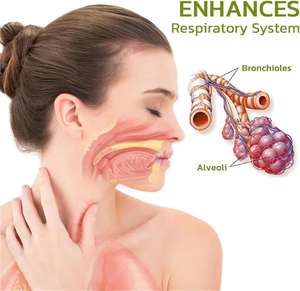 Lung Kräuter reiniger <span class=keywords><strong>Spray</strong></span> Raucher Klarer Nasen nebel Anti Schnarchen Stauung Lindert Lösung Klar Trocken - Product Image 6