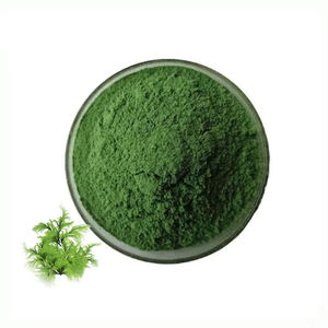Bubuk <span class=keywords><strong>Chlorella</strong></span> Spirulina Organik Alami Grosir dalam Jumlah Besar - Product Image 6