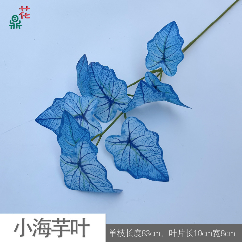 Petites feuilles de calla, bleues