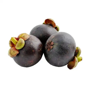 Bubuk ekstrak Manggis suplemen kesehatan terlaris <span class=keywords><strong>30%</strong></span> polifenol - Product Image 4