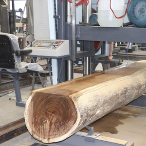 Sierra de cinta horizontal de alta resistencia, ancho de corte máximo de 2500 mm, máquina de aserradero para corte primario de troncos de gran diámetro - Product Image 6