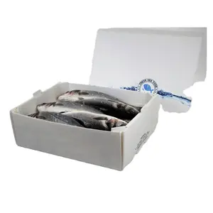 물고기 상자 물고기 포장 상자 Akylux 상자 상자