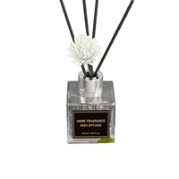 Bouteille de diffuseur de roseaux 50 ml, diffuseur de roseaux en gros, emballage personnalisé, diffuseur d'huiles essentielles