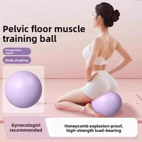 Pelota de Yoga y Pilates para Adelgazar, Moldear Cintura y Glúteos, Ejercicio de Gimnasia, Material de PVC Antiexplosión, 25CM de Diámetro