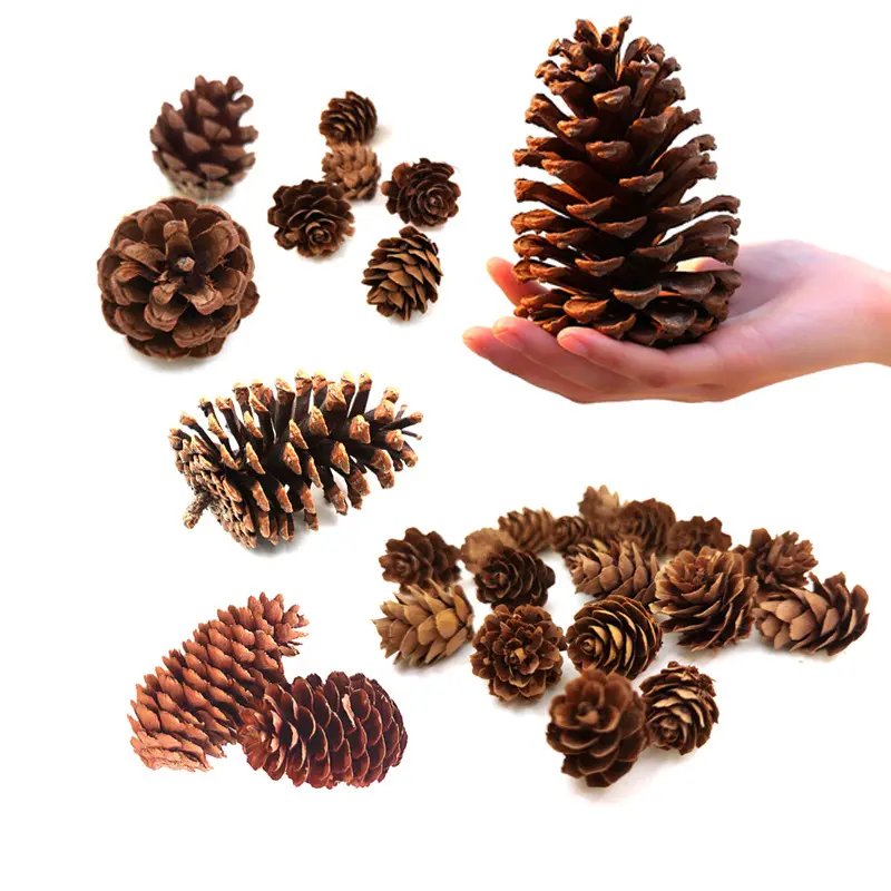 Doğal noel asılı Pinecones fabrika doğrudan uçlu konileri süsler çam kozalakları kolye dekorasyon