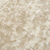 Tapis de salon moderne pleine surface en polyester, résistant aux taches, pour canapé, table basse et chevet, fabriqué à la machine pour usage domestique
