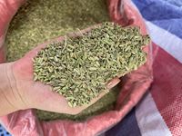Graines de fenouil entières propres à faible teneur en impuretés, fournie par l'usine chinoise, expédition en vrac par conteneur, épice Halal pour le marché africain