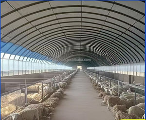 Walk-in Polytunnel Tunnel <span class=keywords><strong>Serre</strong></span> En Plein Air Plante Cultiver Tente <span class=keywords><strong>Serre</strong></span> <span class=keywords><strong>Serre</strong></span> Ronde Pignon Maison Jardin Chaleur Hangar - Product Image 5