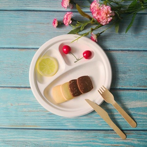 Assiettes jetables écologiques, biodégradables et compostables en bagasse de papier, 6, 7, 9, 10 pouces, 1 et 3 compartiments, pour fêtes et voyages - Product Image 3