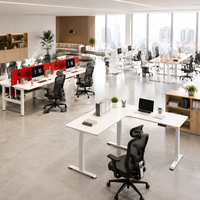 Station de travail assise-debout à double moteur pour 4 personnes, pour bureaux commerciaux |   Banc de travail acoustique avec écran, silencieux, pour bureau en open space
